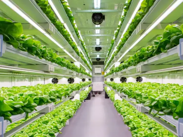 Shipping container farm 2024 | shipping containers for sale Shipping Container Farm Innovation