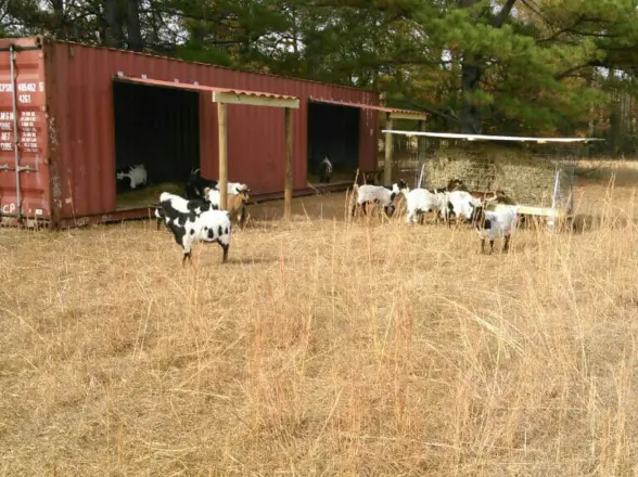 Shipping containers on a farm | shipping containers for sale Shipping Containers On A Farm