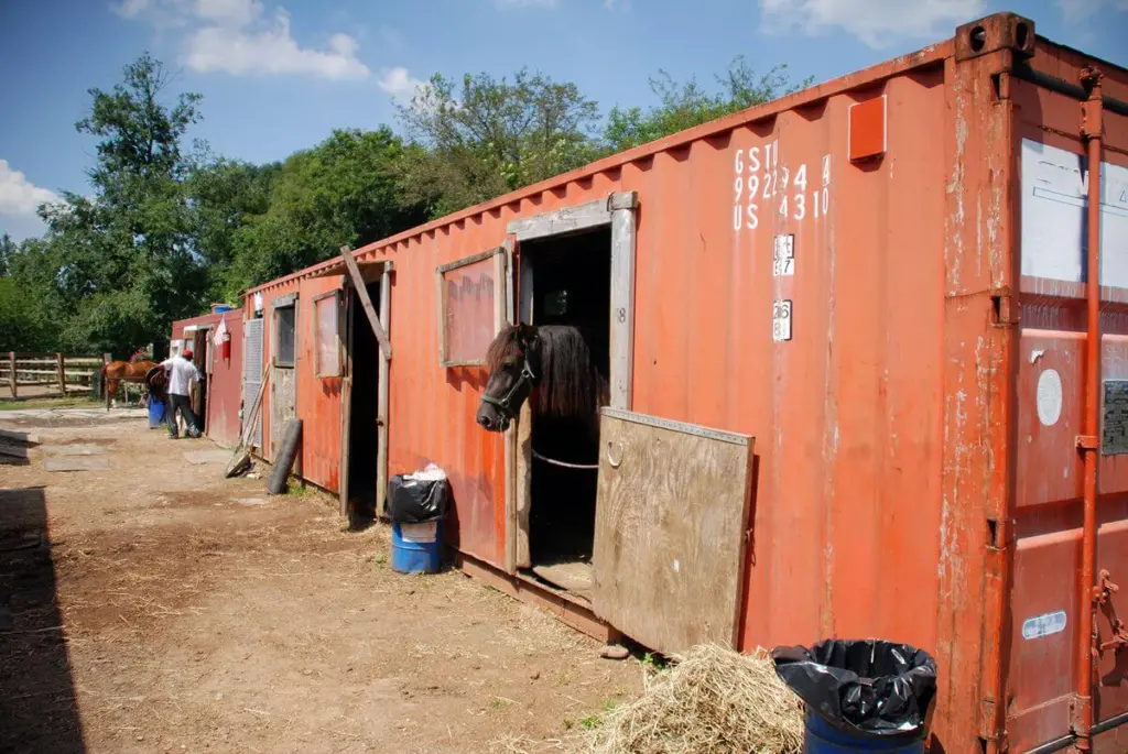 Shipping containers on a farm 4 | shipping containers for sale Shipping Containers On A Farm