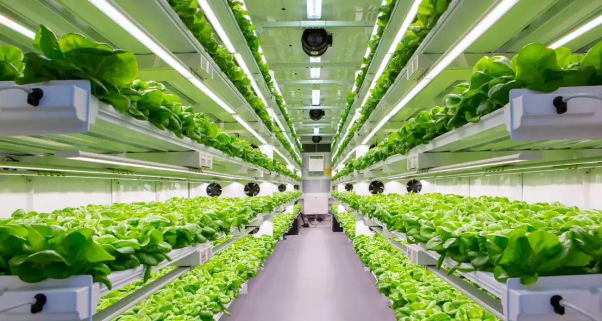 Shipping Container Farm Innovation