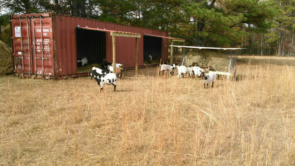 Shipping containers on a farm | shipping containers for sale Shipping Containers On A Farm